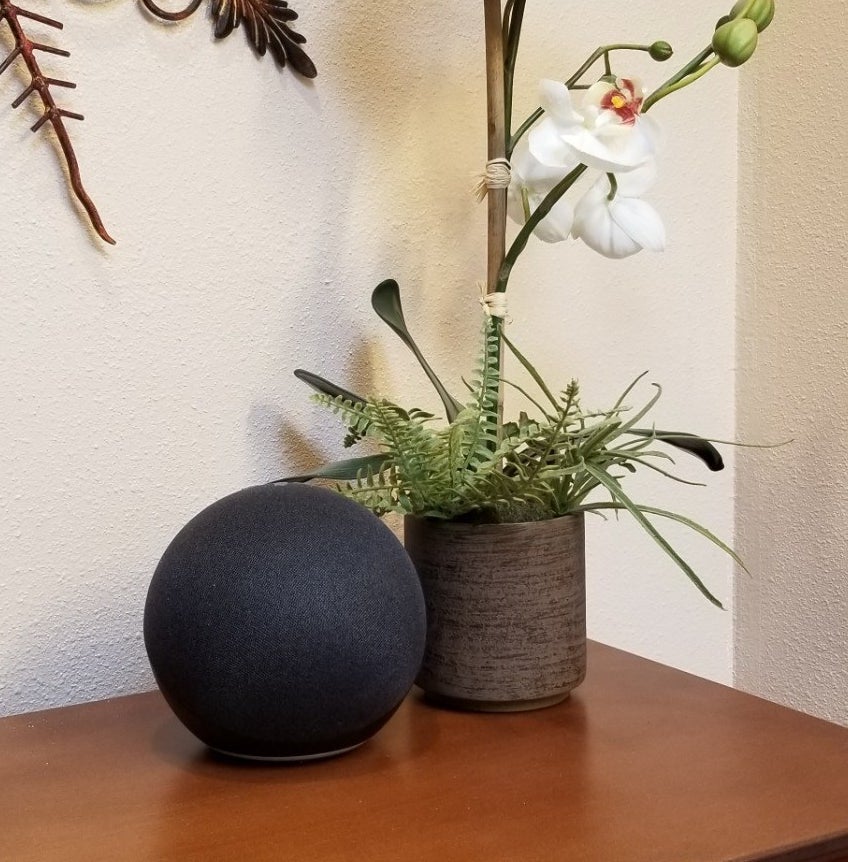 a reviewer&#x27;s echo on their counter