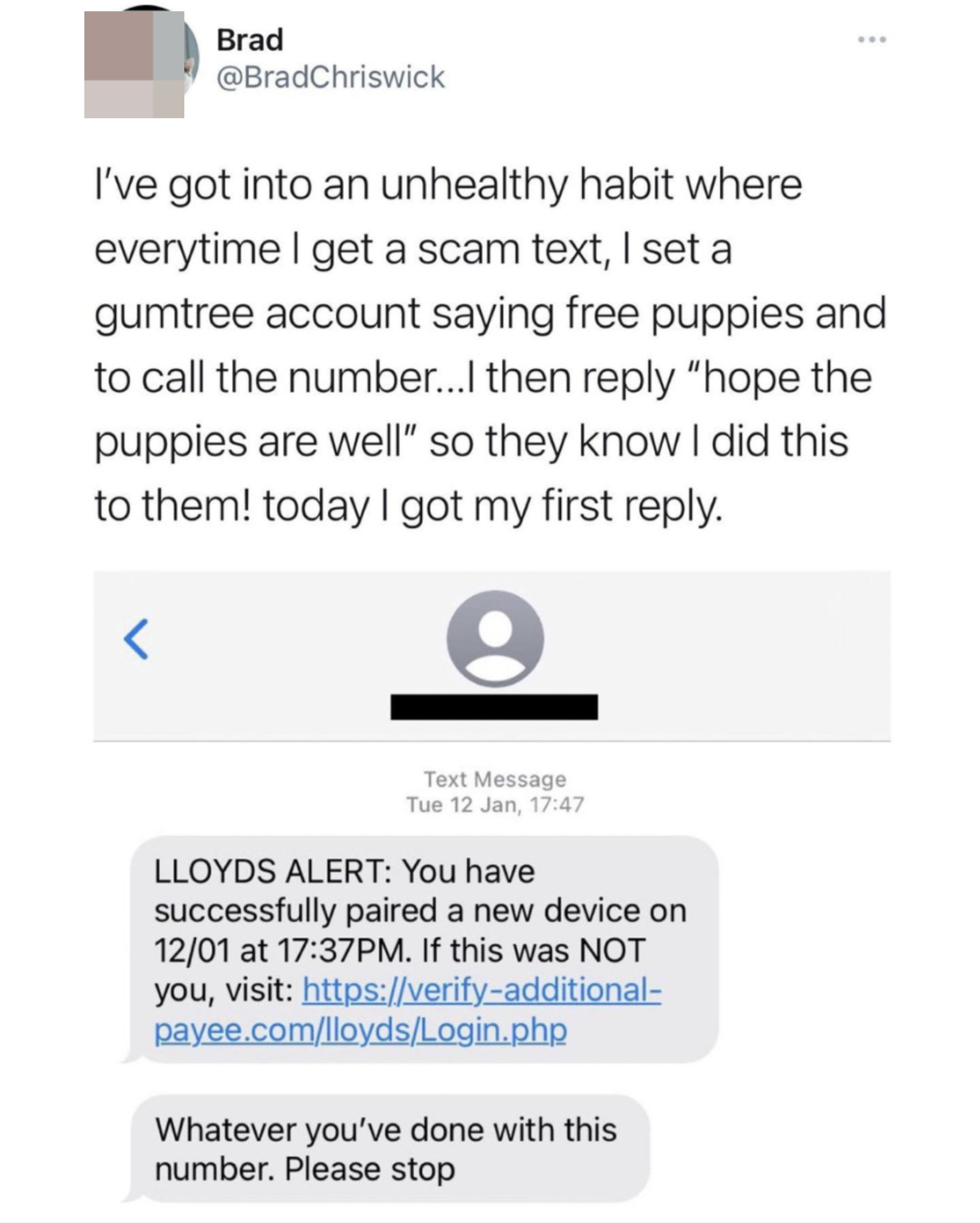 a person who sets up scammers&#x27; numbers with free puppy offers, and a scammer responding, &quot;Whatever you&#x27;ve done with this number please stop&quot;