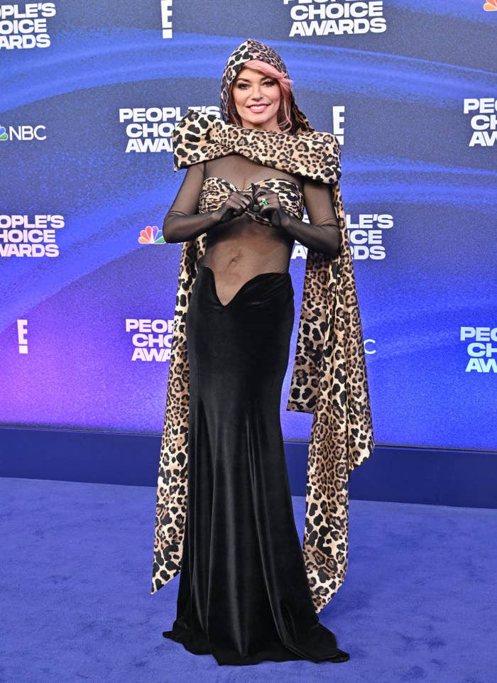 Shania Twain attends the 2022 People&#x27;s Choice Awards in a leopard print hooded gown