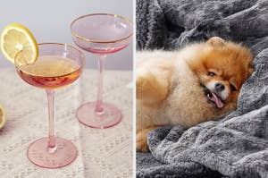 A pair of pink coupe glasses with gold rims / a dog lounging on a grey furry blanket