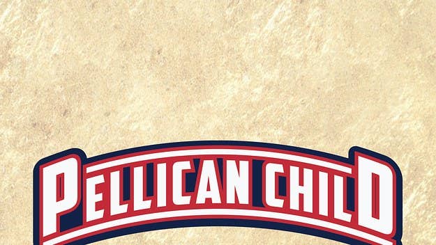 Pellican Child will also be releasing a full EP in 2017.