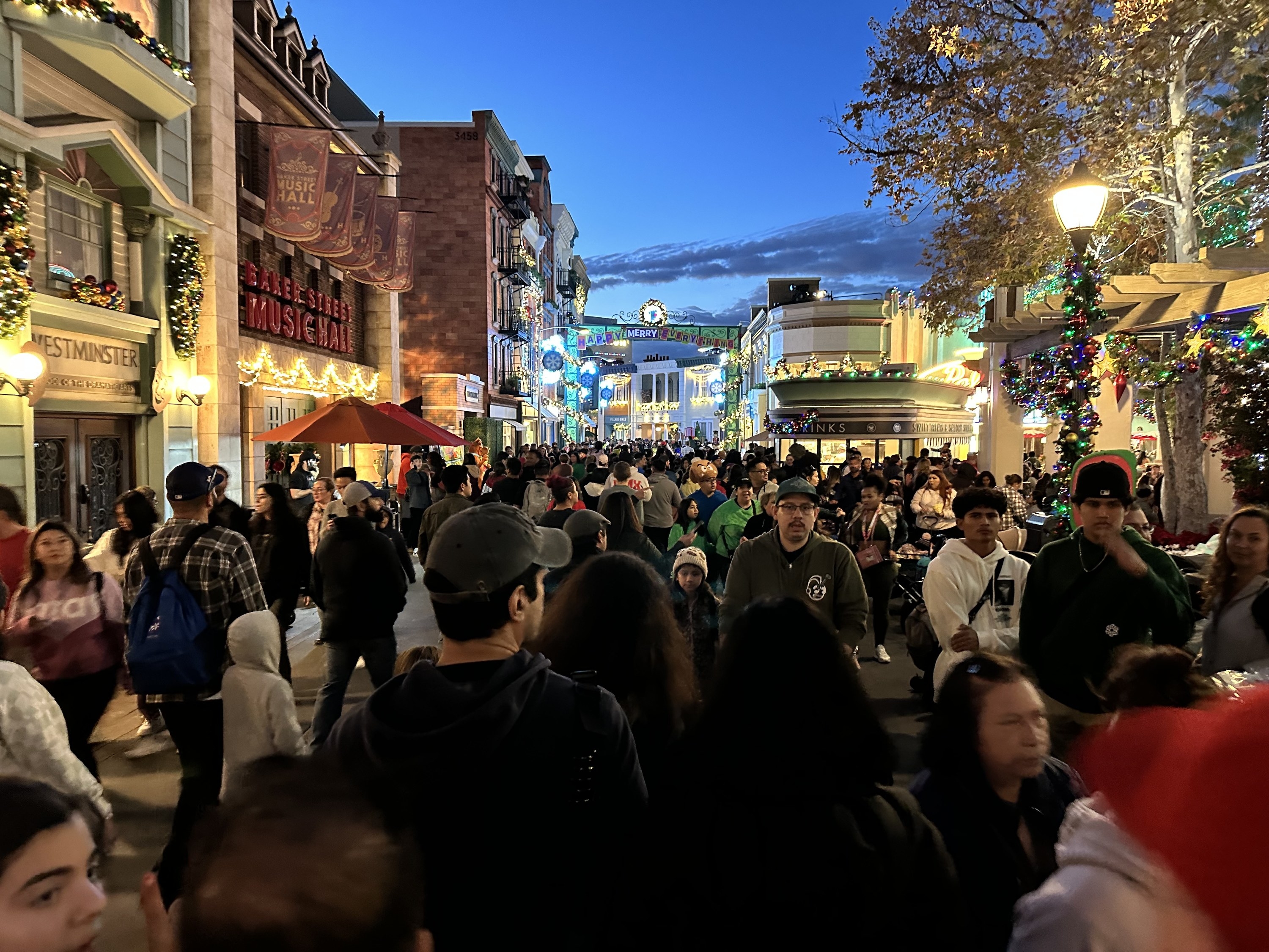 Crowds of people on the street