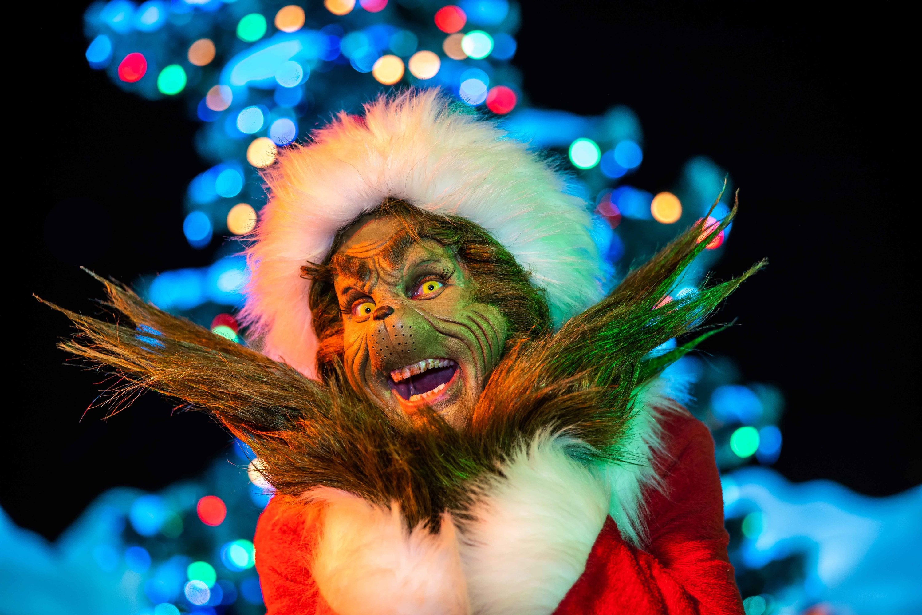 Closeup of the grinch