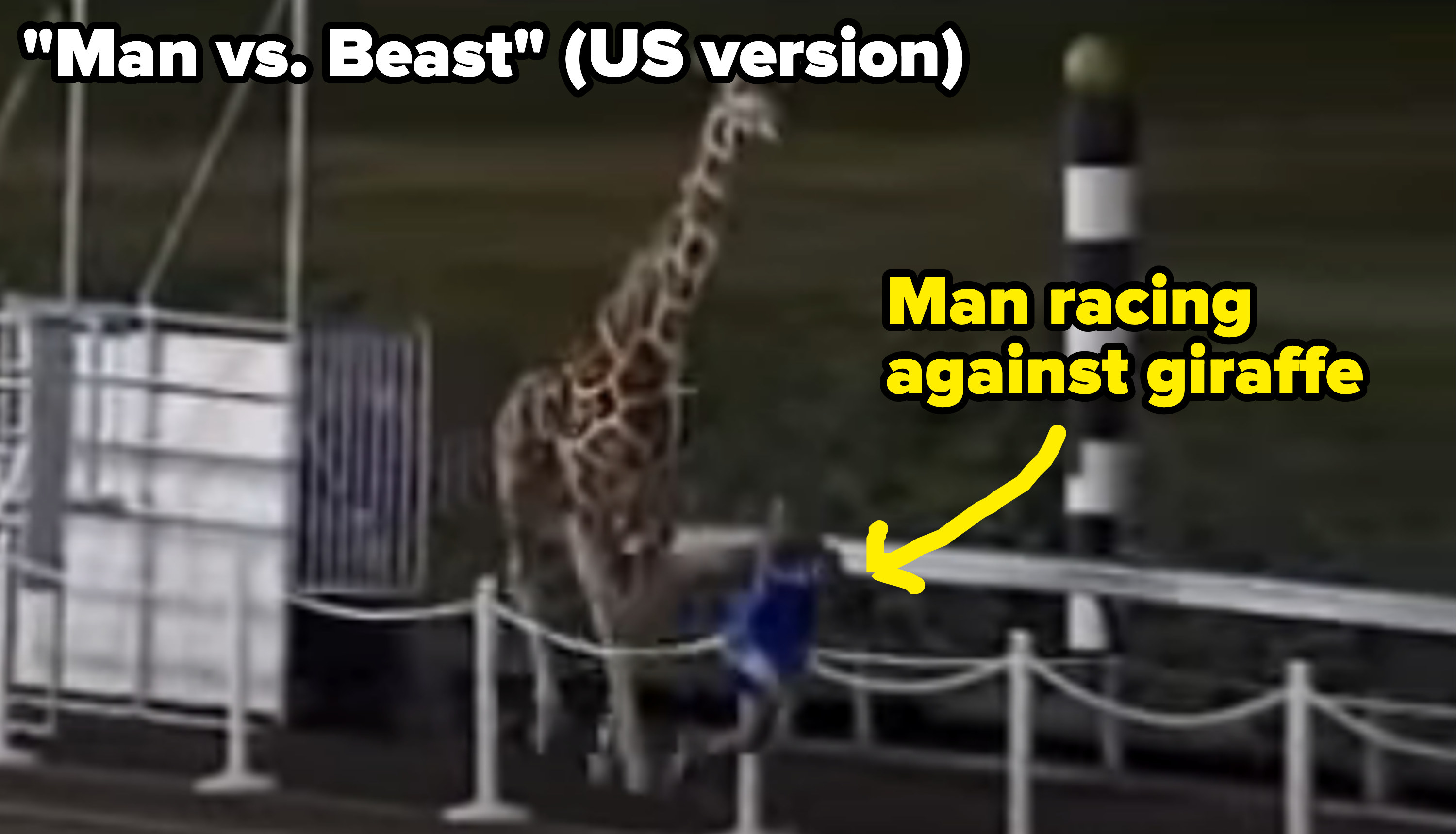 Screenshot from &quot;Man vs. Beast&quot;