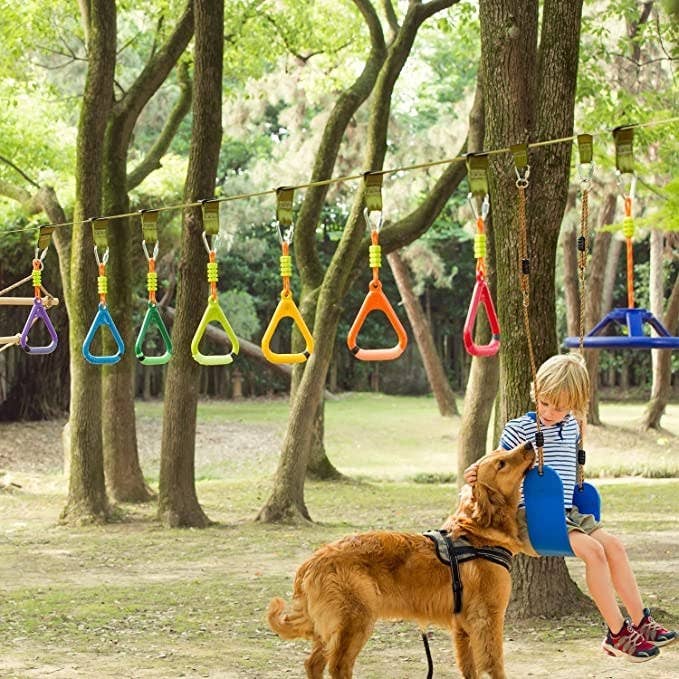 Child with dog playing on swing