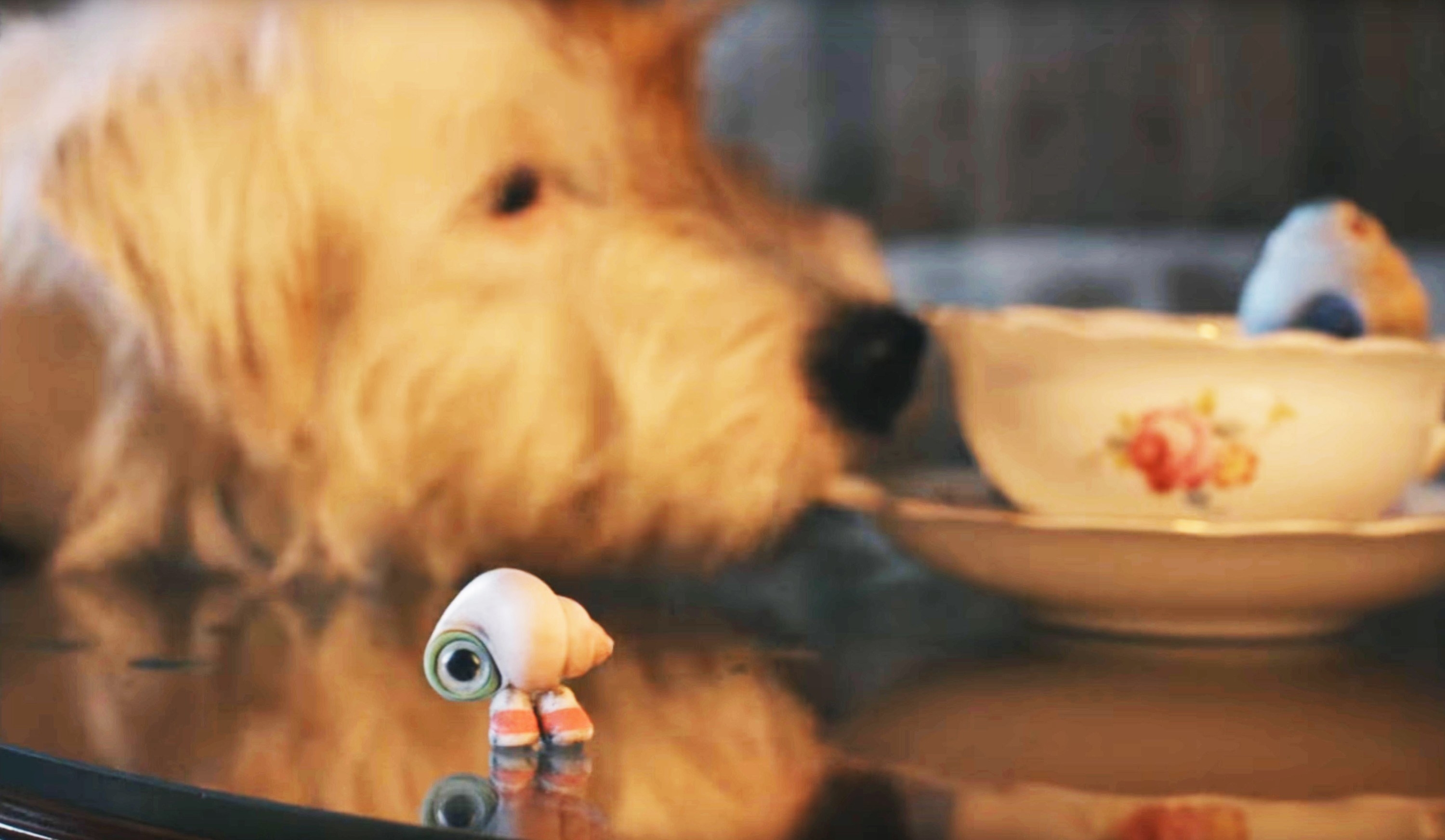 Marcel the shell stands on a table near a dog