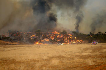 Wildfire in Australia