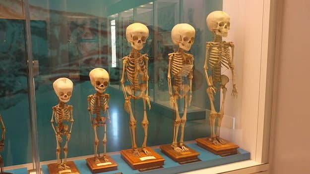 Archaeologists in Italy discovered a child skeleton with a stone purposefully placed in its mouth to prevent it from rising from the dead.
