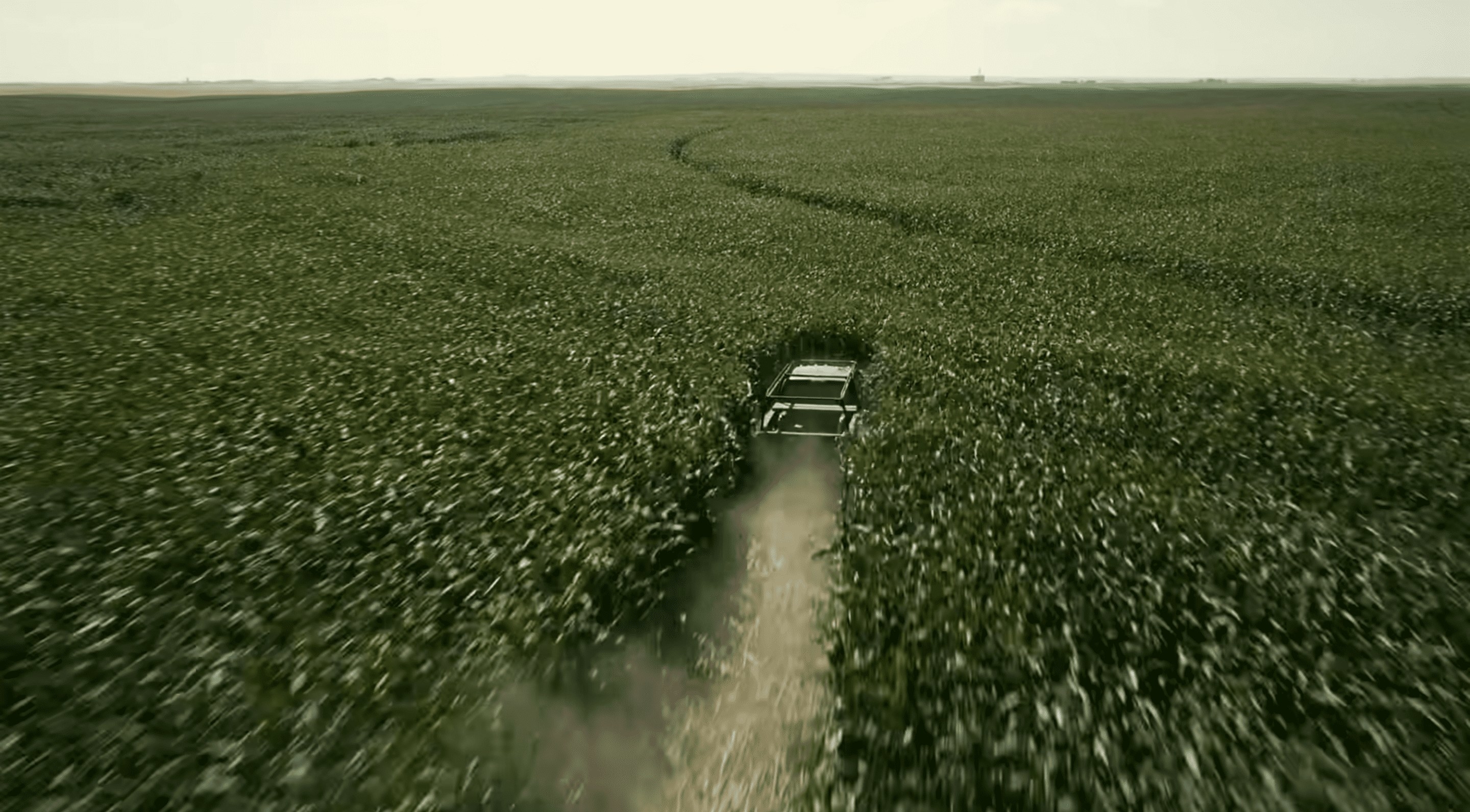A truck drives through a field of corn