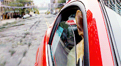 A dog hangs its head outside a car driving through an apocalypse