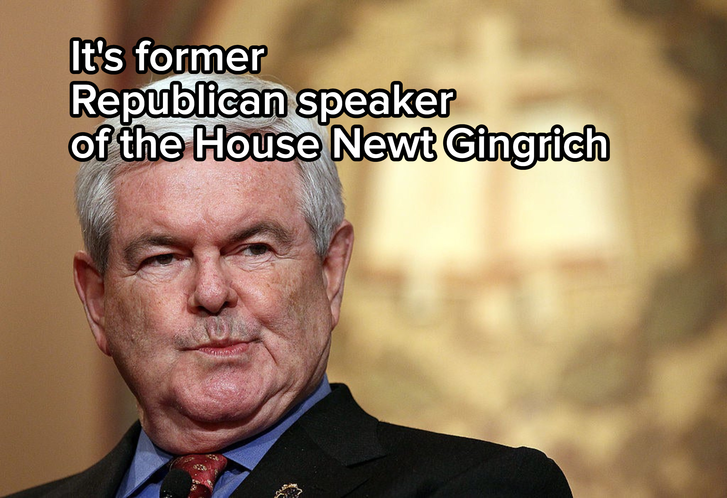 It&#x27;s former Republican speaker of the House Newt Gingrich