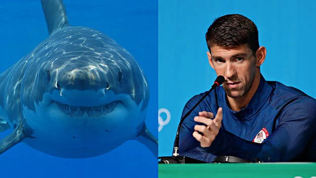 Hopefully Phelps and the shark will also enjoy a post-race blunt together.