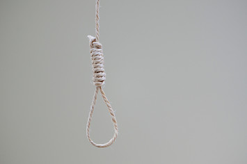 noose against white background
