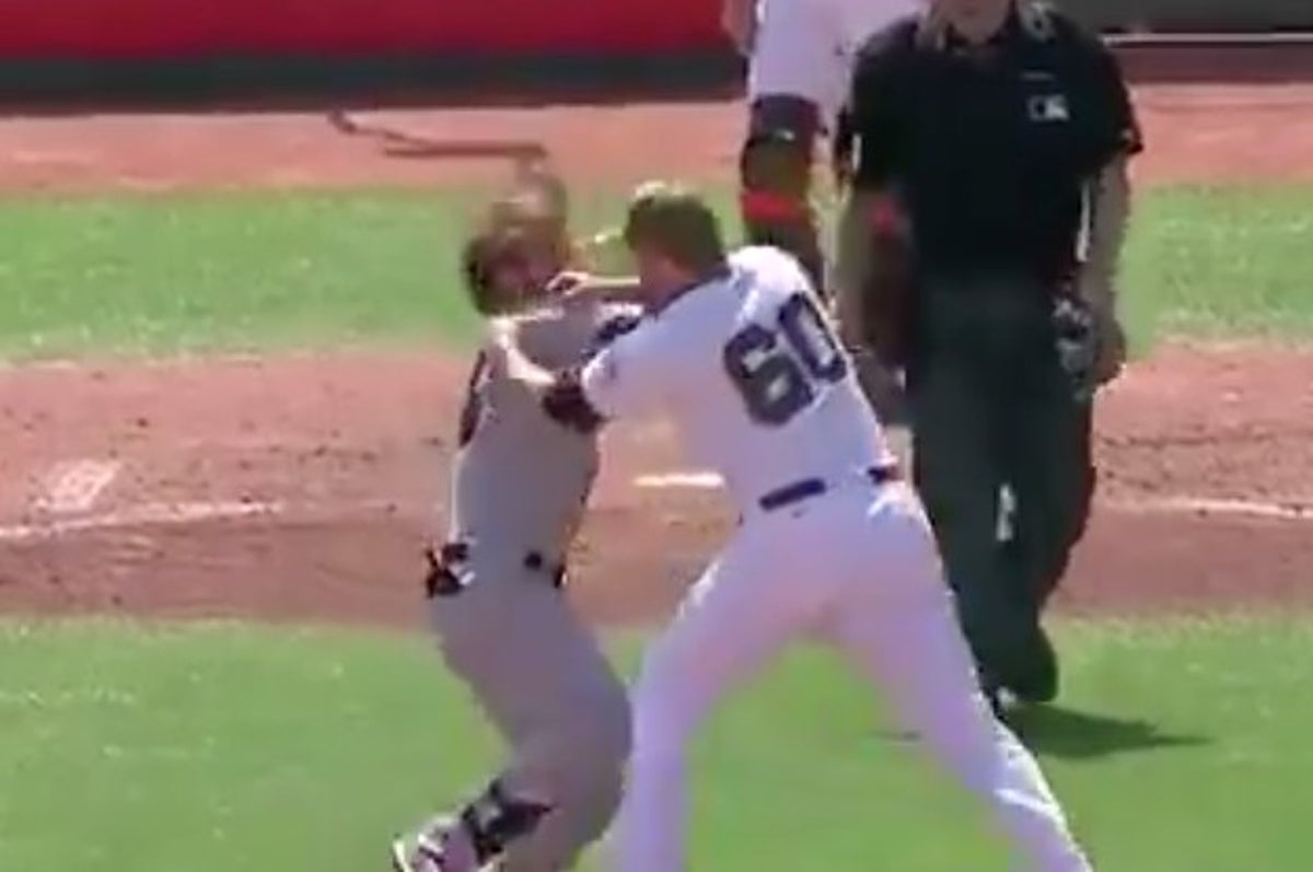 VIDEO: Nationals, Giants brawl after star Bryce Harper is plunked