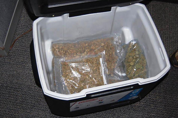 weed in a cooler