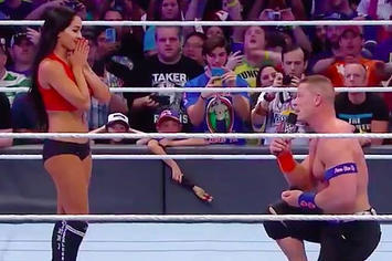 John Cena proposes to girlfriend Nikki Bella at WrestleMania 33.
