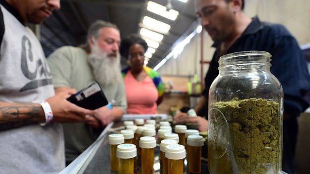 Would you risk it all to make money in the marijuana market?
