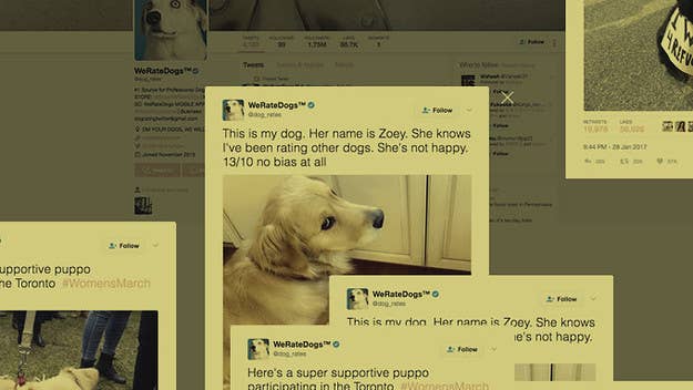 We talked to the guy behind the best dog account on the Internet—We Rate Dogs.