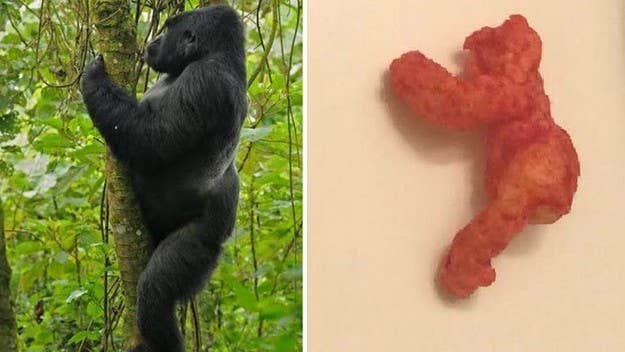 Someone agreed to pay almost $100,000 for a Harambe-shaped Cheeto on eBay.