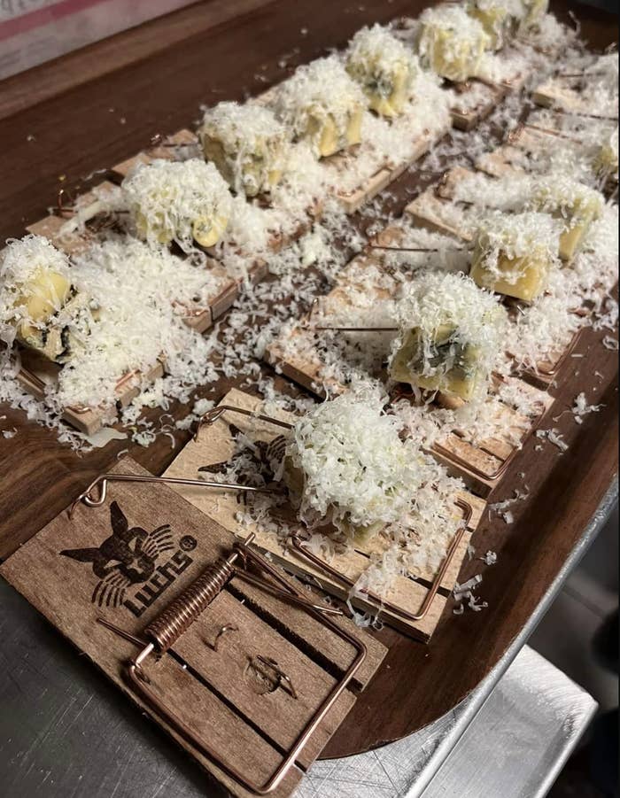 Rows of mouse traps filled with food and topped with cheese