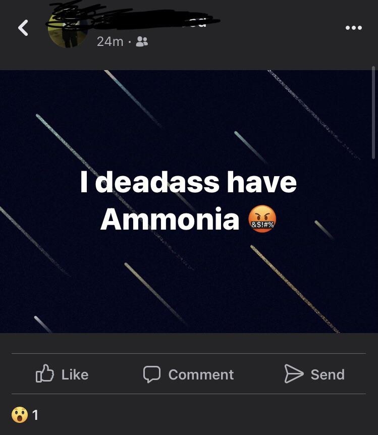 Person misspelling pneumonia as ammonia