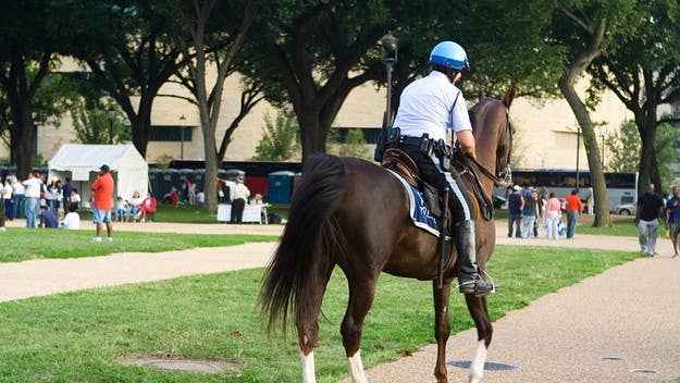 27-year-old Florida Man Alisha Lalani has been arrested and charged with battery on a police horse after he slapped a horse's butt on Saturday.