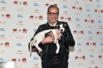 This is a picture of Jeff Goldblum.