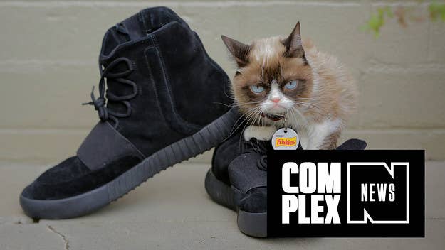 Grumpy Cat gives Complex News and exclusive interview in San Francisco ahead of Super Bowl 50