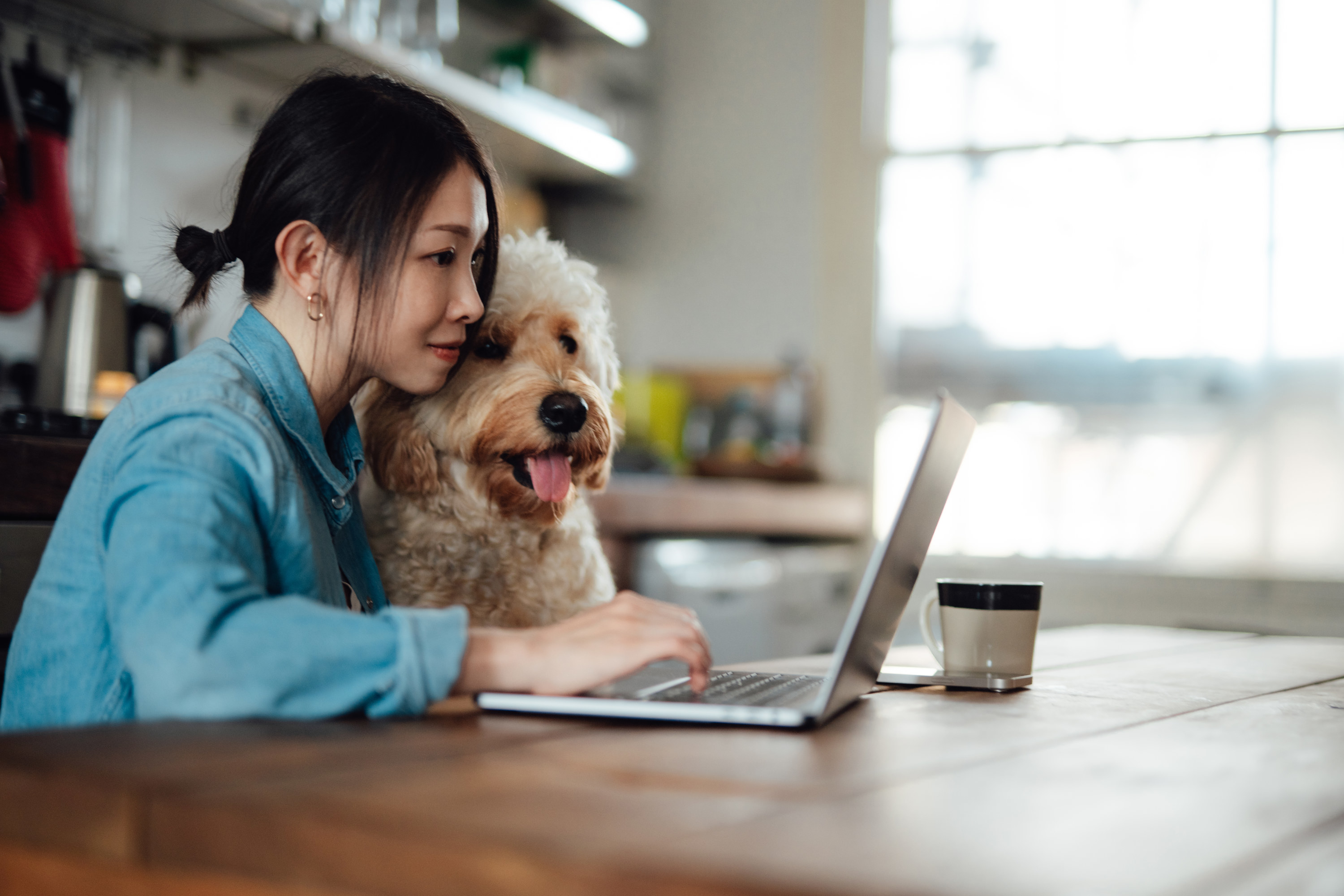 a woman with her dog while she&#x27;s on the computer