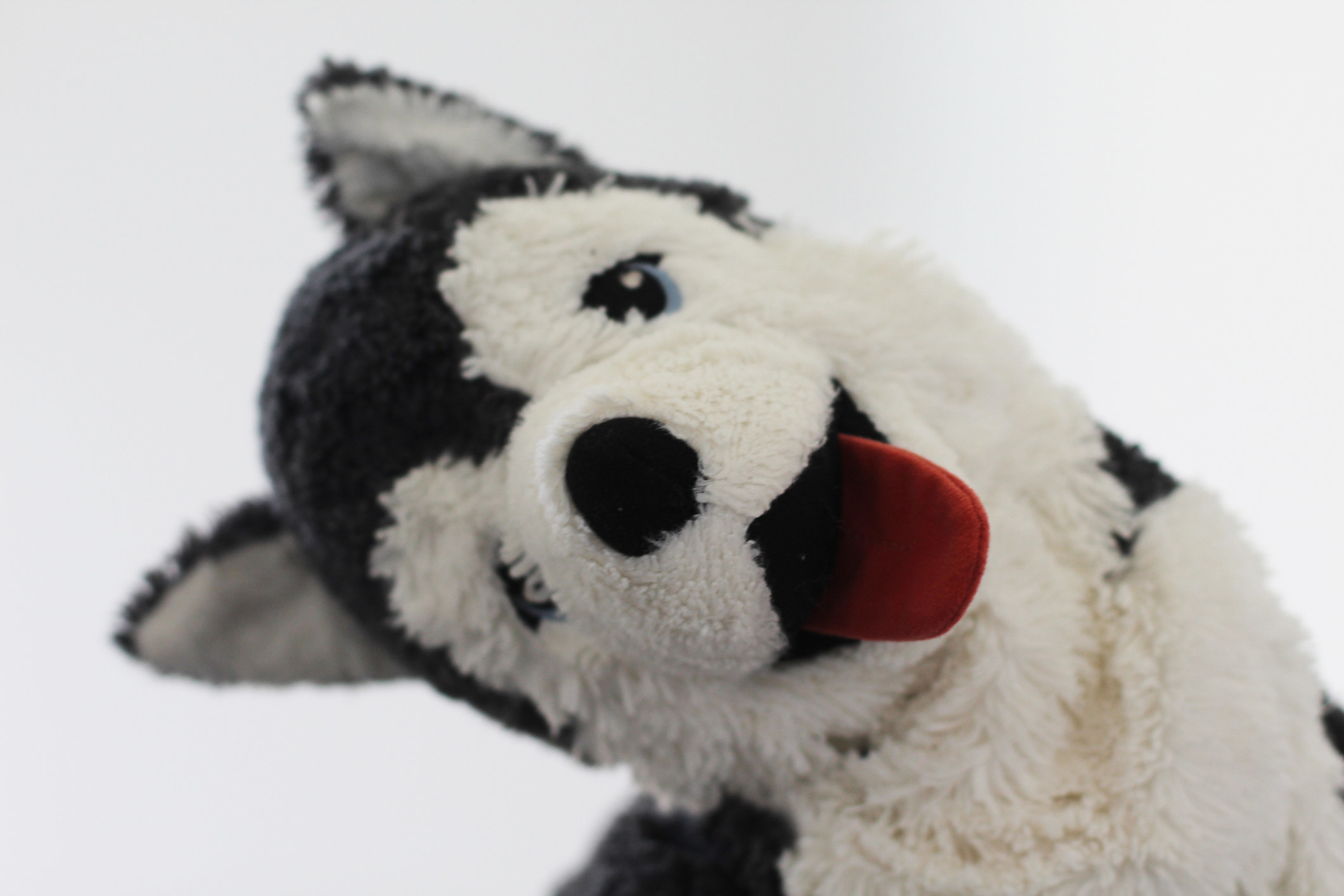 Stuffed dog toy