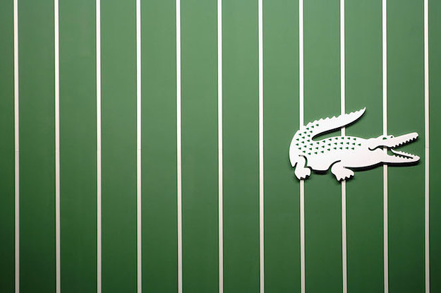 Green Crocodile Logo, Logos ft. crocodile & animal - Envato Elements