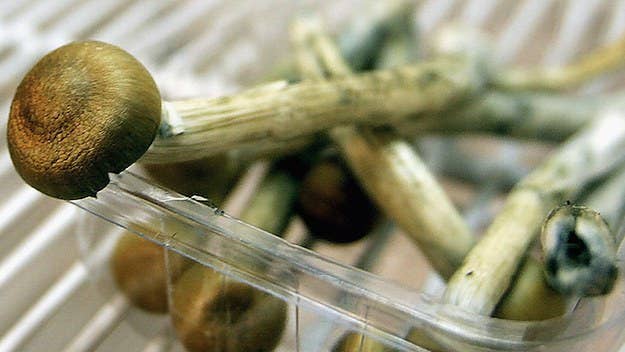 Magic mushrooms have been deemed the "safest" drug and have been found useful in a number of medical contexts. 