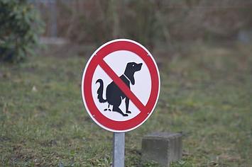 Dog poop sign