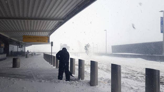 News of fights and airplane collisions are reported as JFK airport recovers from 'bomb cyclone.'