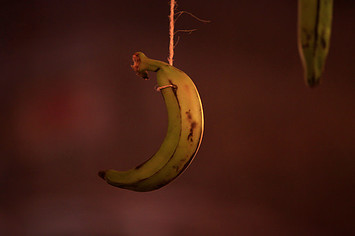 This is a photo of a banana.