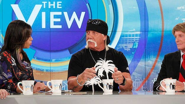 Hulk Hogan's 2007 sex tape scandal is the case that never ends.