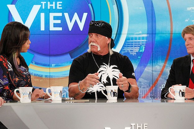 Hulk Hogan Is Suing More People Over His Sex Tape Complex pic