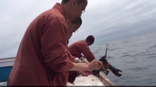 Buddhist monks just dumped a whole ton of lobsters into the ocean.