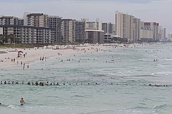 80 Person Human Chain on Panama City Beach