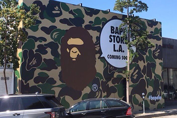 This is a photo of Bape.