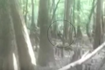 Visuals of a possible "Lizard Man" sighting in South Carolina.