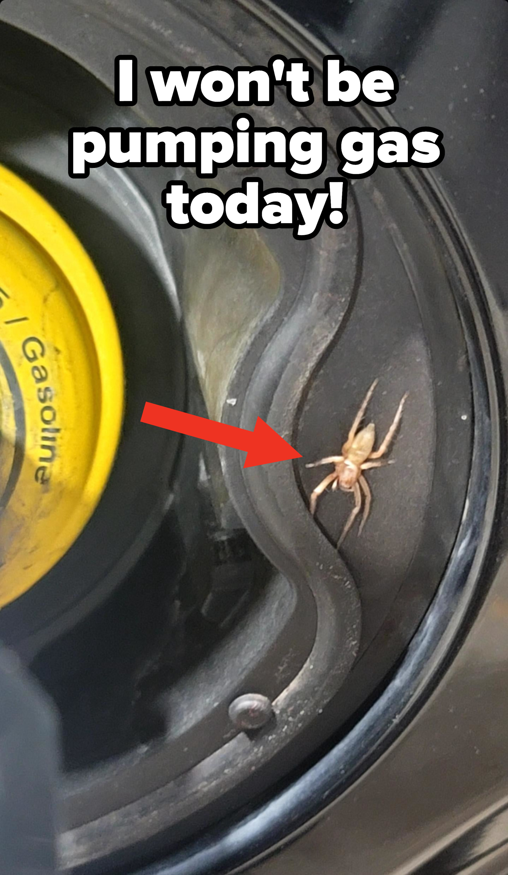 a spider in someone&#x27;s gas tank and the words &quot;I won&#x27;t be pumping gas today&quot;