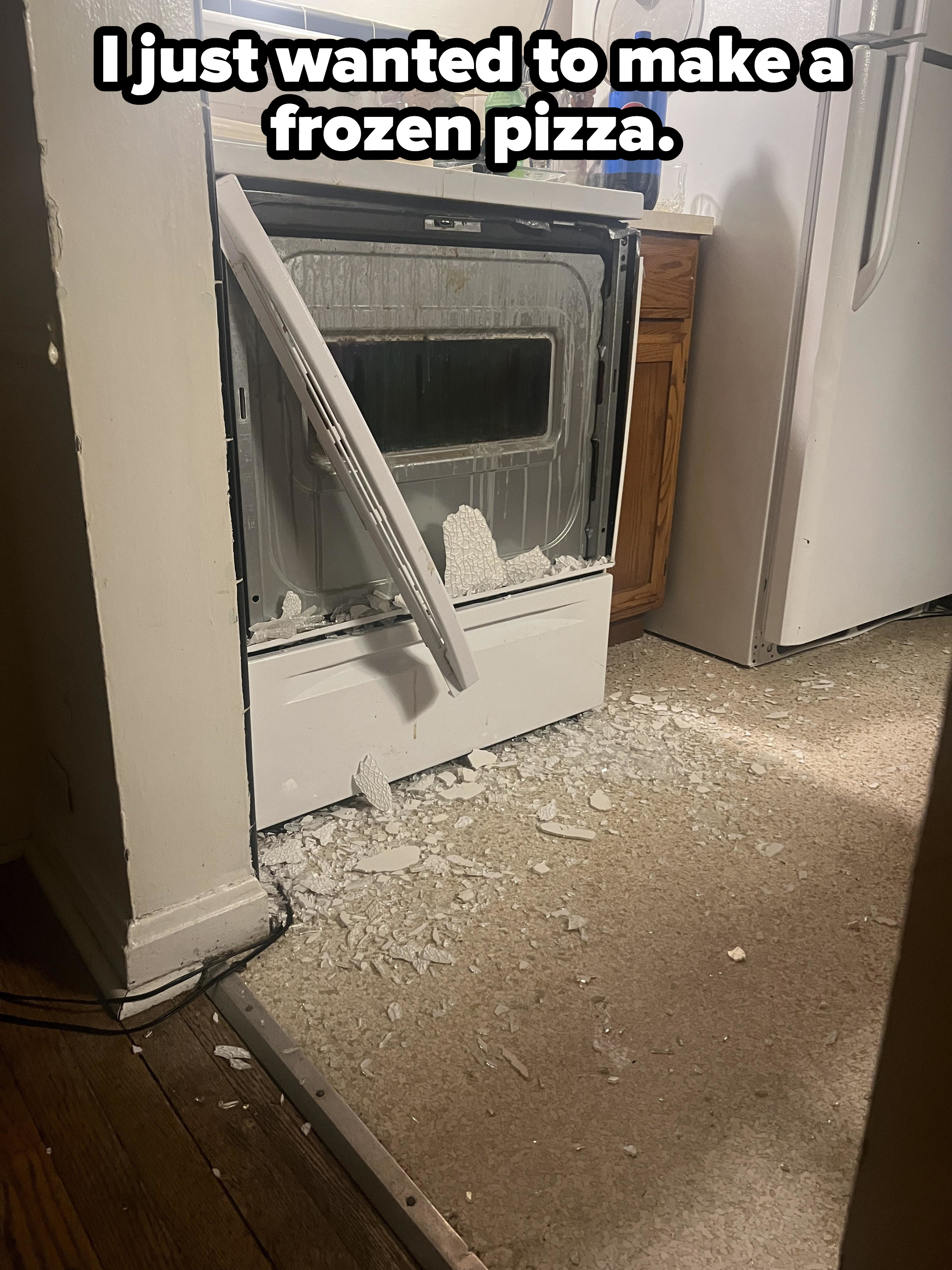 a broken oven and the words &quot;I just wanted to make a frozen pizza&quot;
