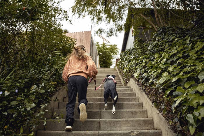 A person ascends a set of outdoor stairs with their dog on a walk