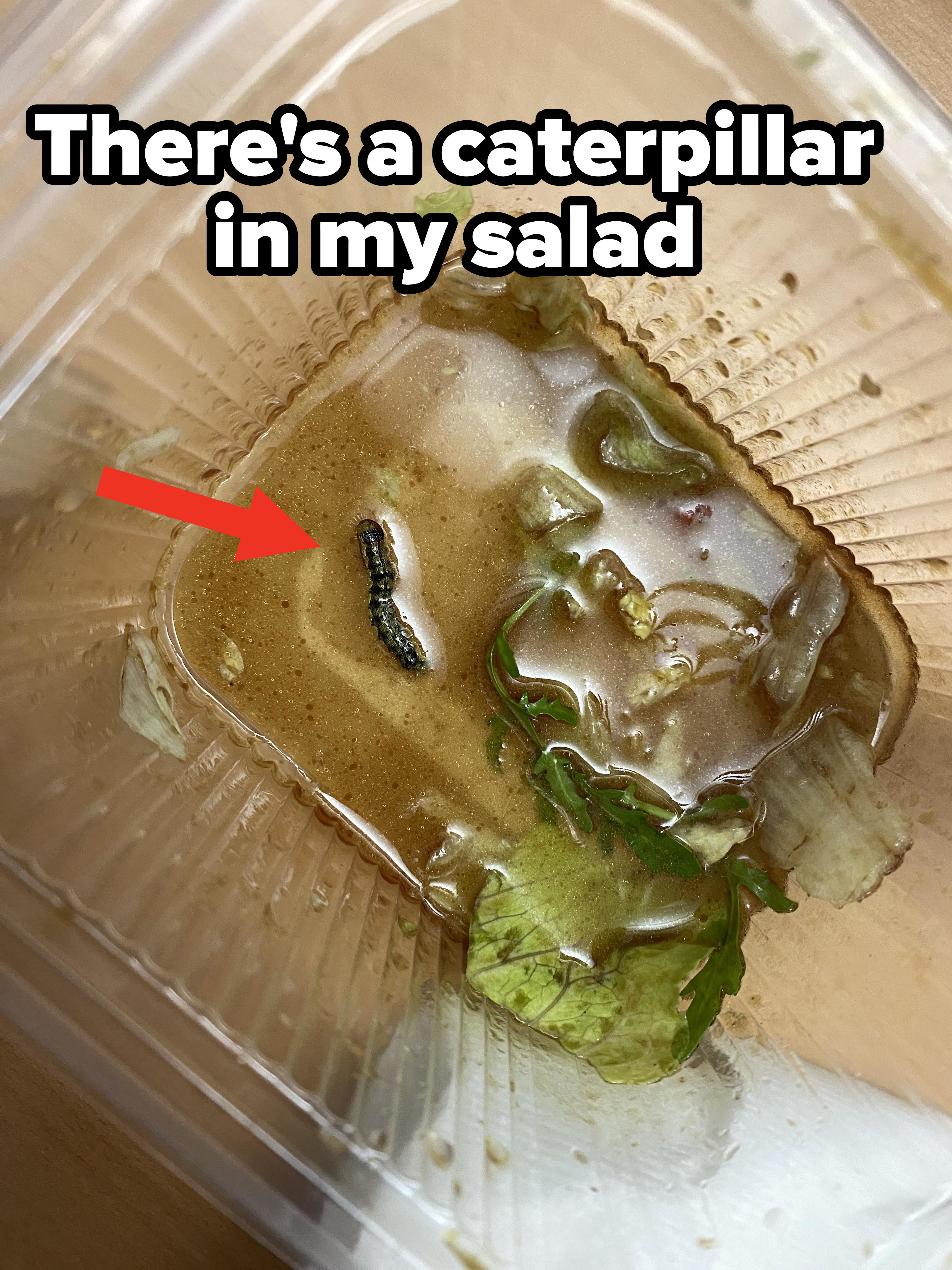 &quot;There&#x27;s a caterpillar in my salad&quot; and a box of eaten salad with a caterpillar at the bottom