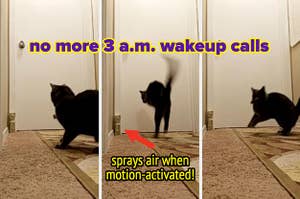 three panels of a cat looking at, then being scared off by a motion activated spray deterrent