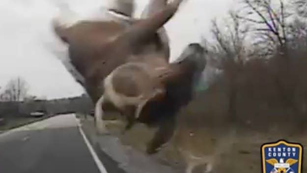 The officers shared the footage to provide an example of how to react safely when a deer leaps into the road.
