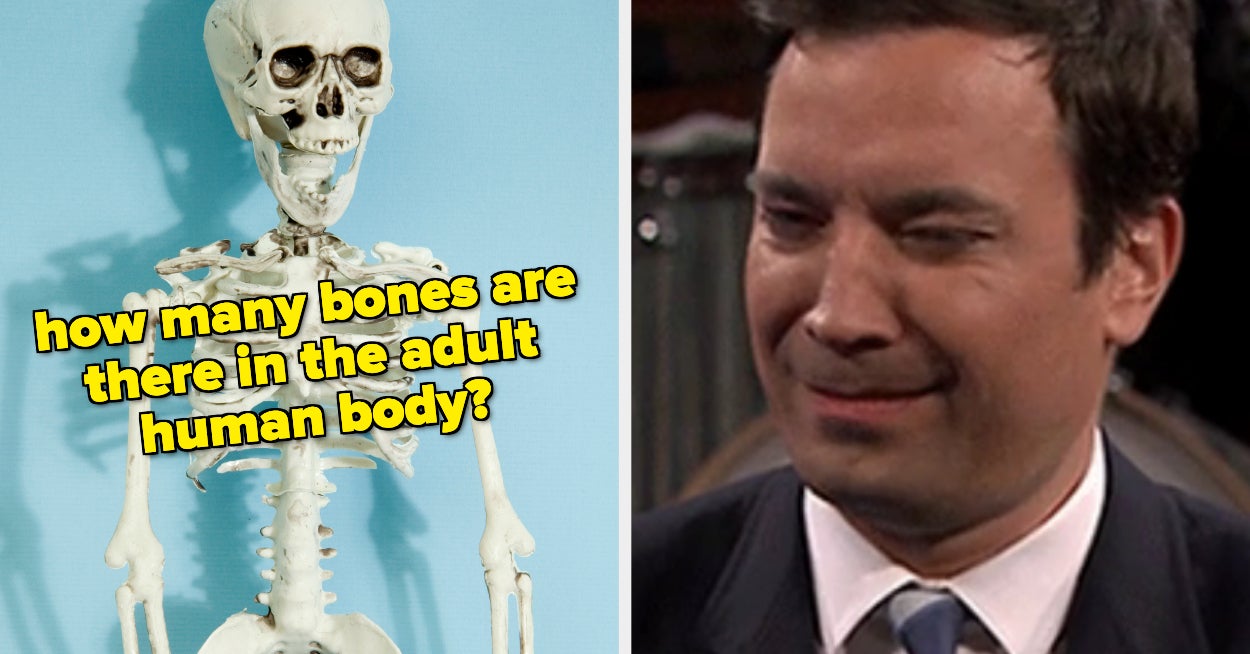 Really Hard General Knowledge Quiz