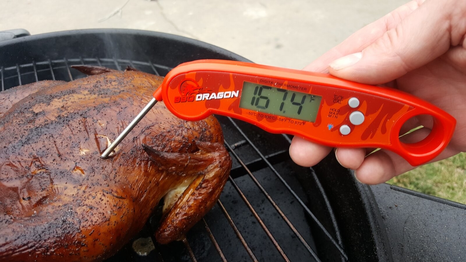 The thermometer in a piece of meat