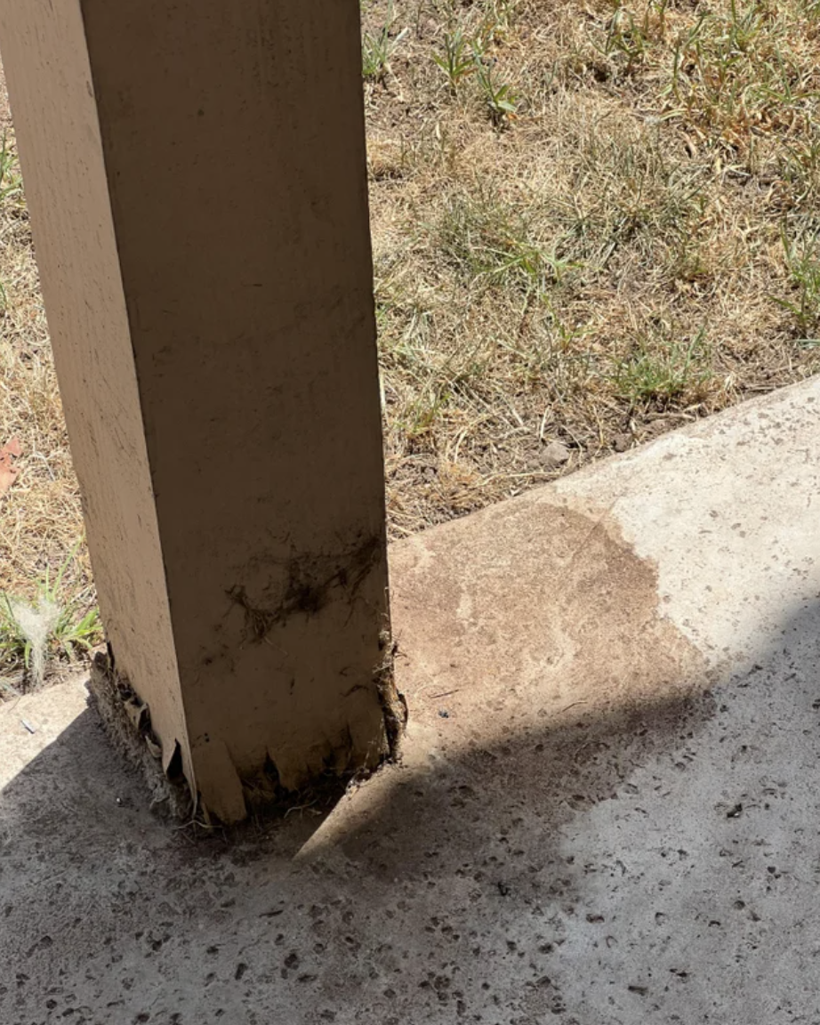 Pee and pop stains on someone&#x27;s pillar